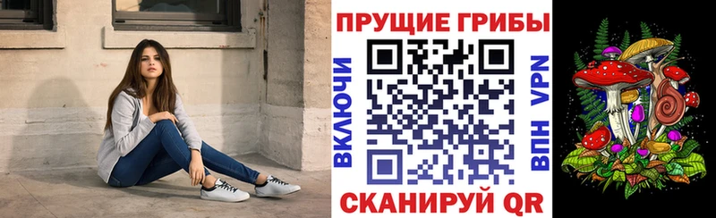 Галлюциногенные грибы GOLDEN TEACHER  Петропавловск-Камчатский 