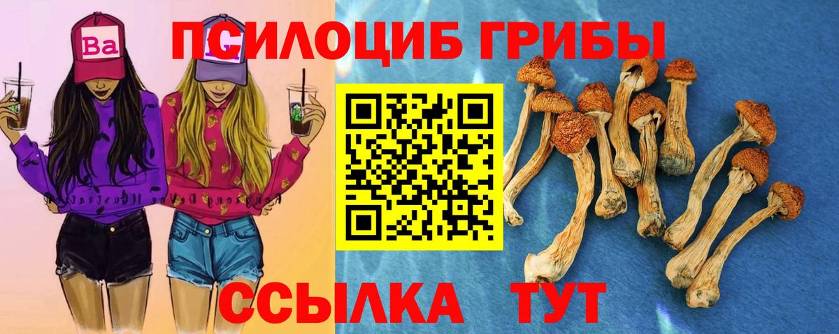 Псилоцибиновые грибы прущие грибы  Вход с VPN  Петропавловск-Камчатский 